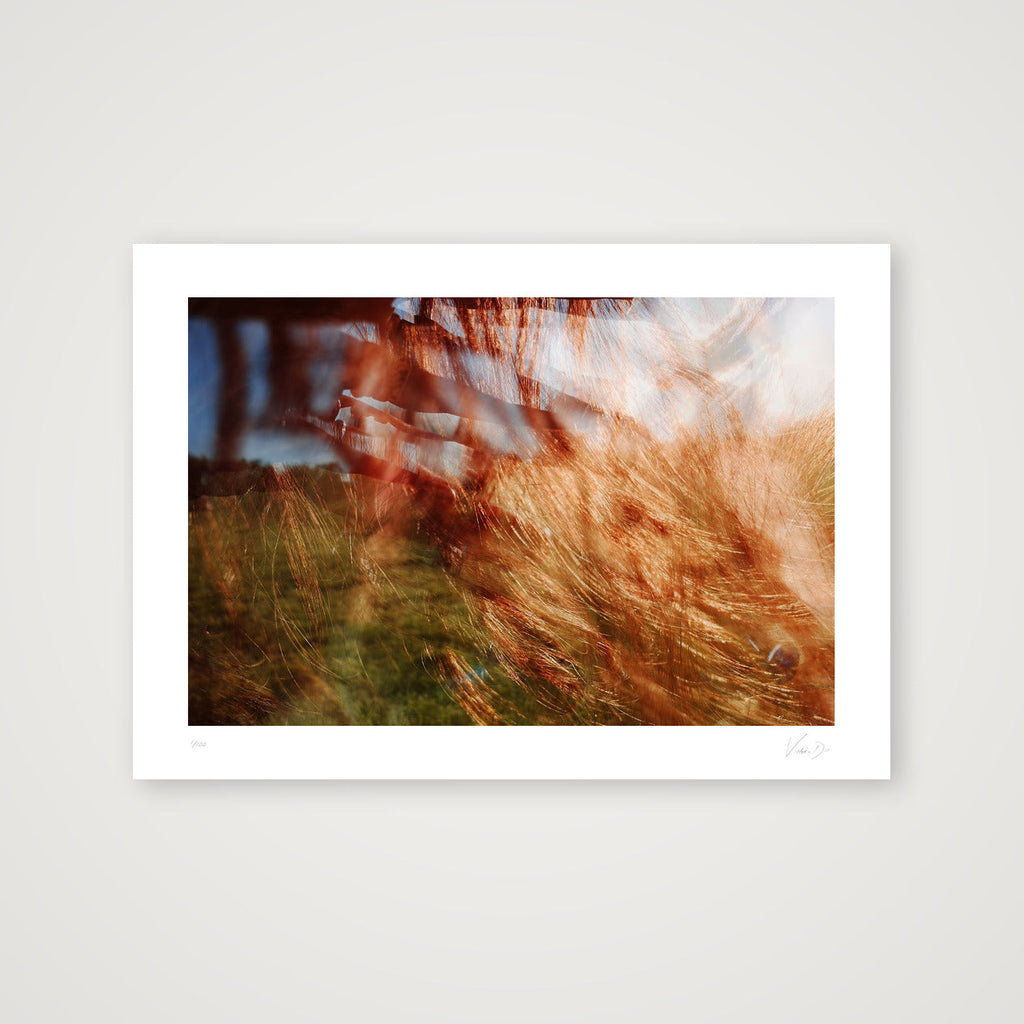 Aut Splash. #1 — A4 (30×21cm, 12×8") Print only