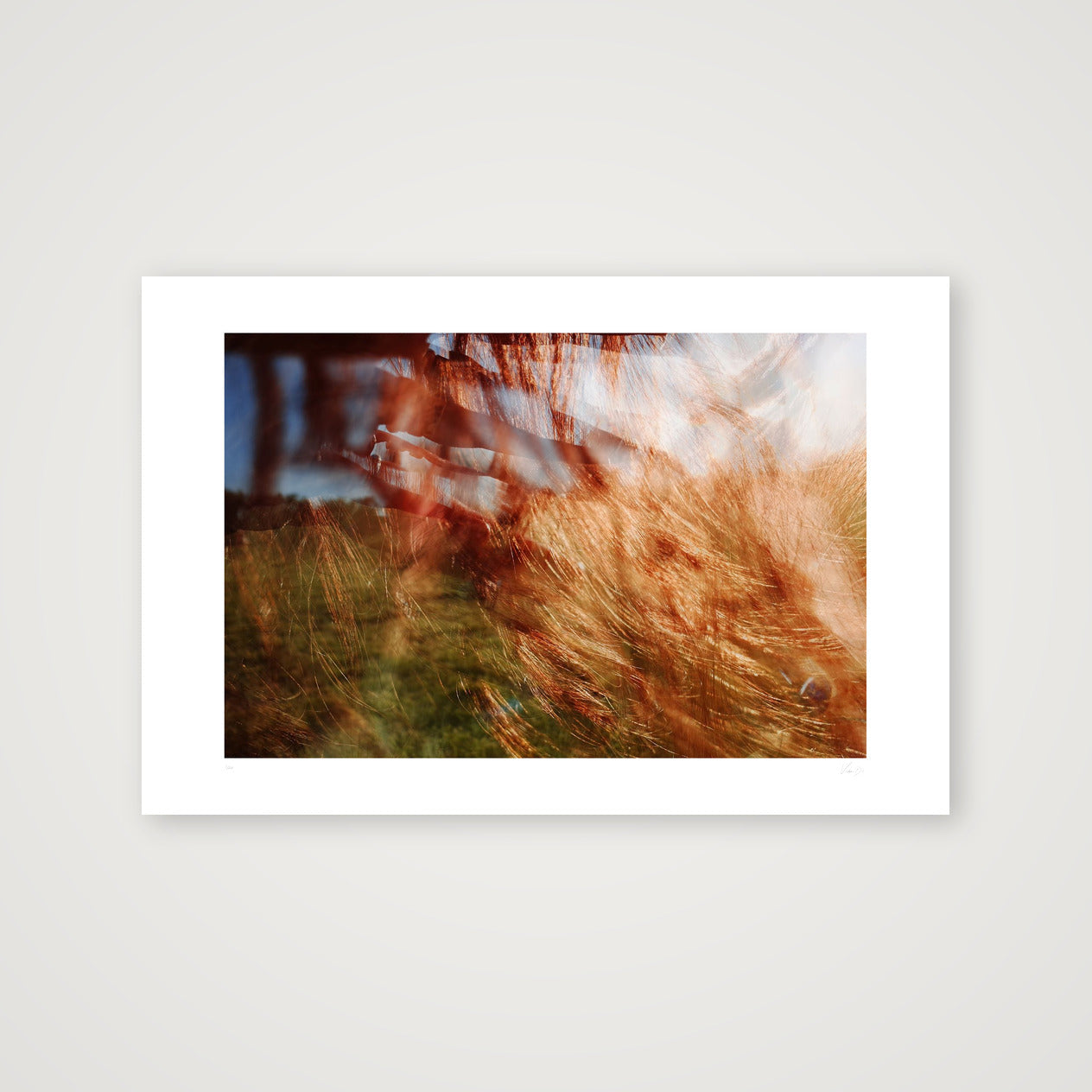 Aut Splash. #1 — 60×40cm, 24×16" Print only