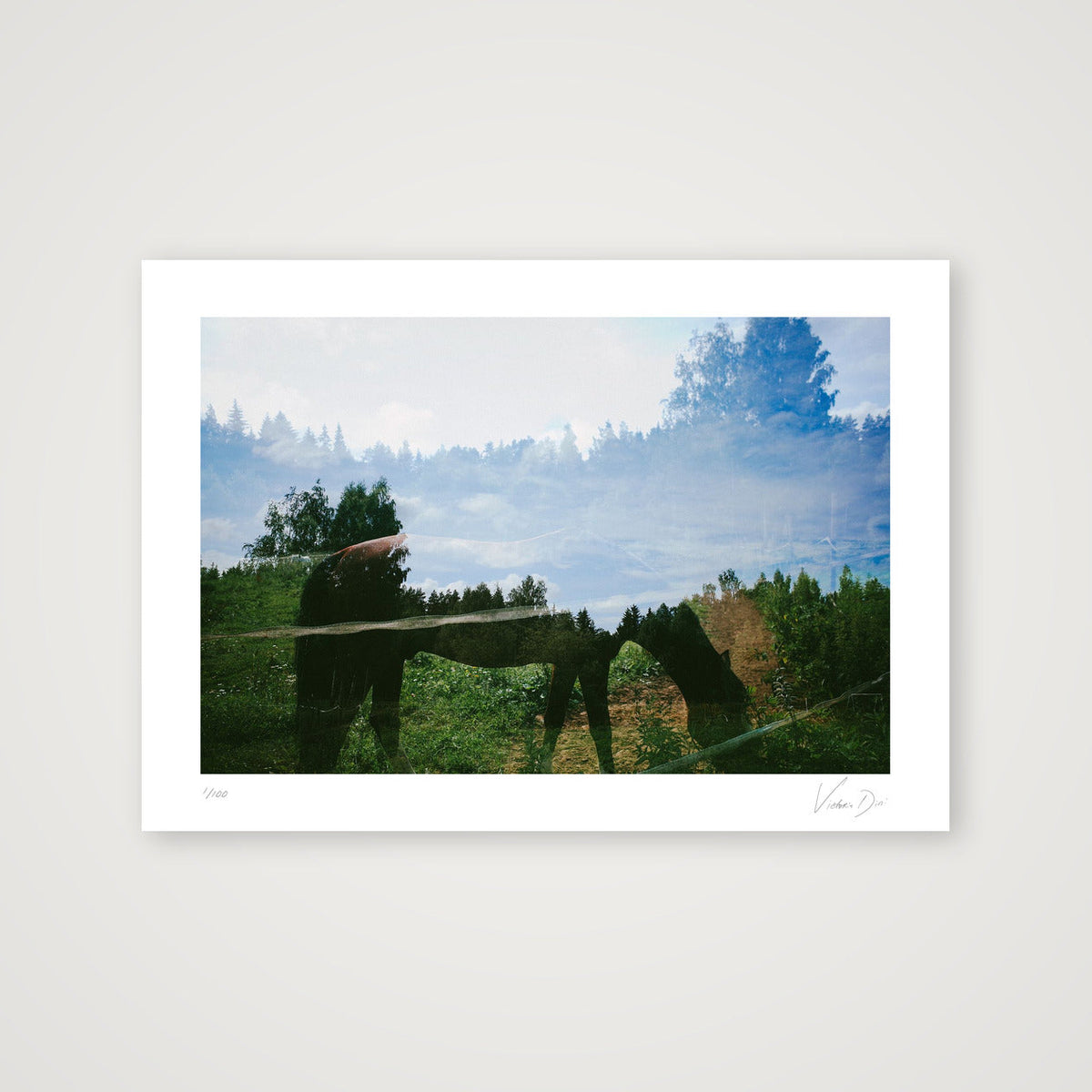 The horse of white dreams. St Petersbourg, 2022 — A4 (30×21cm, 12×8") Print only