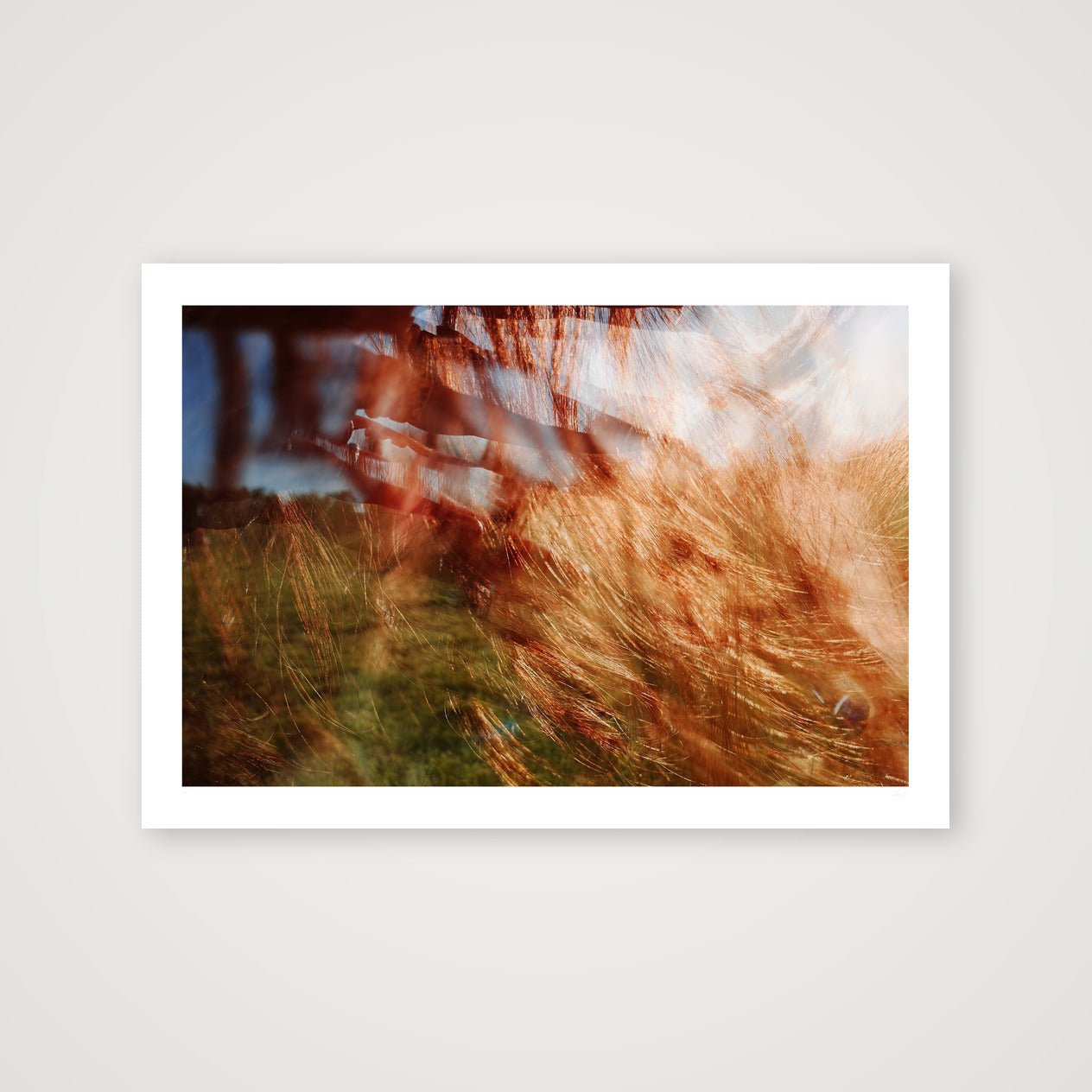 Aut Splash. #1 — 100×70cm, 39×28" Print only