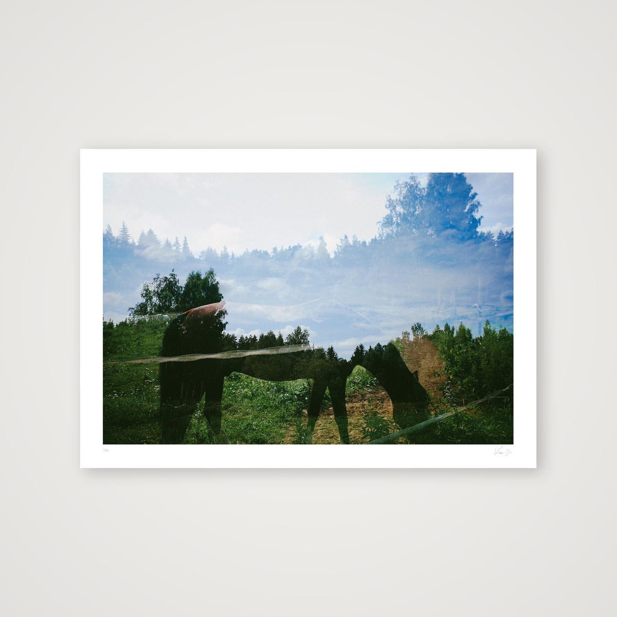 The horse of white dreams. St Petersbourg, 2022 — 100×70cm, 39×28" Print only