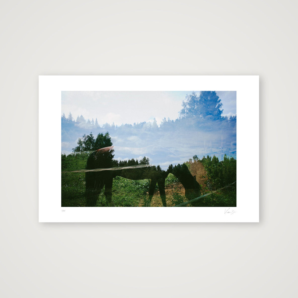 The horse of white dreams. St Petersbourg, 2022 — 60×40cm, 24×16" Print only