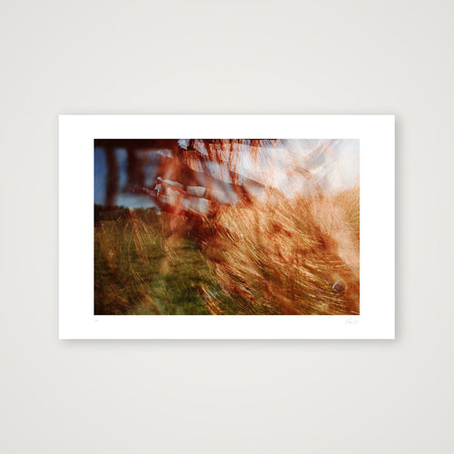 Aut Splash. #1 — 45×30cm, 18×12" Print only